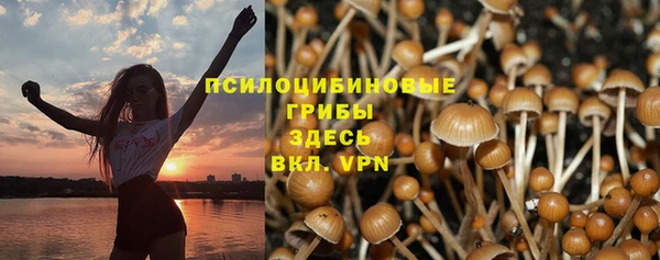 apvp Балахна