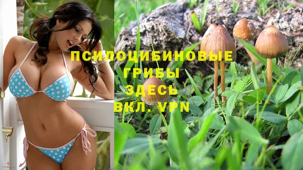 apvp Балахна